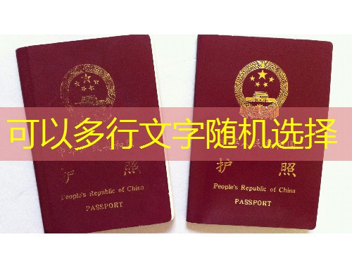 “上海移民中介公司咨询”避坑指南：3步锁定靠谱顾问，少花20万冤枉钱